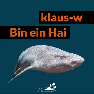 Bin ein Hai